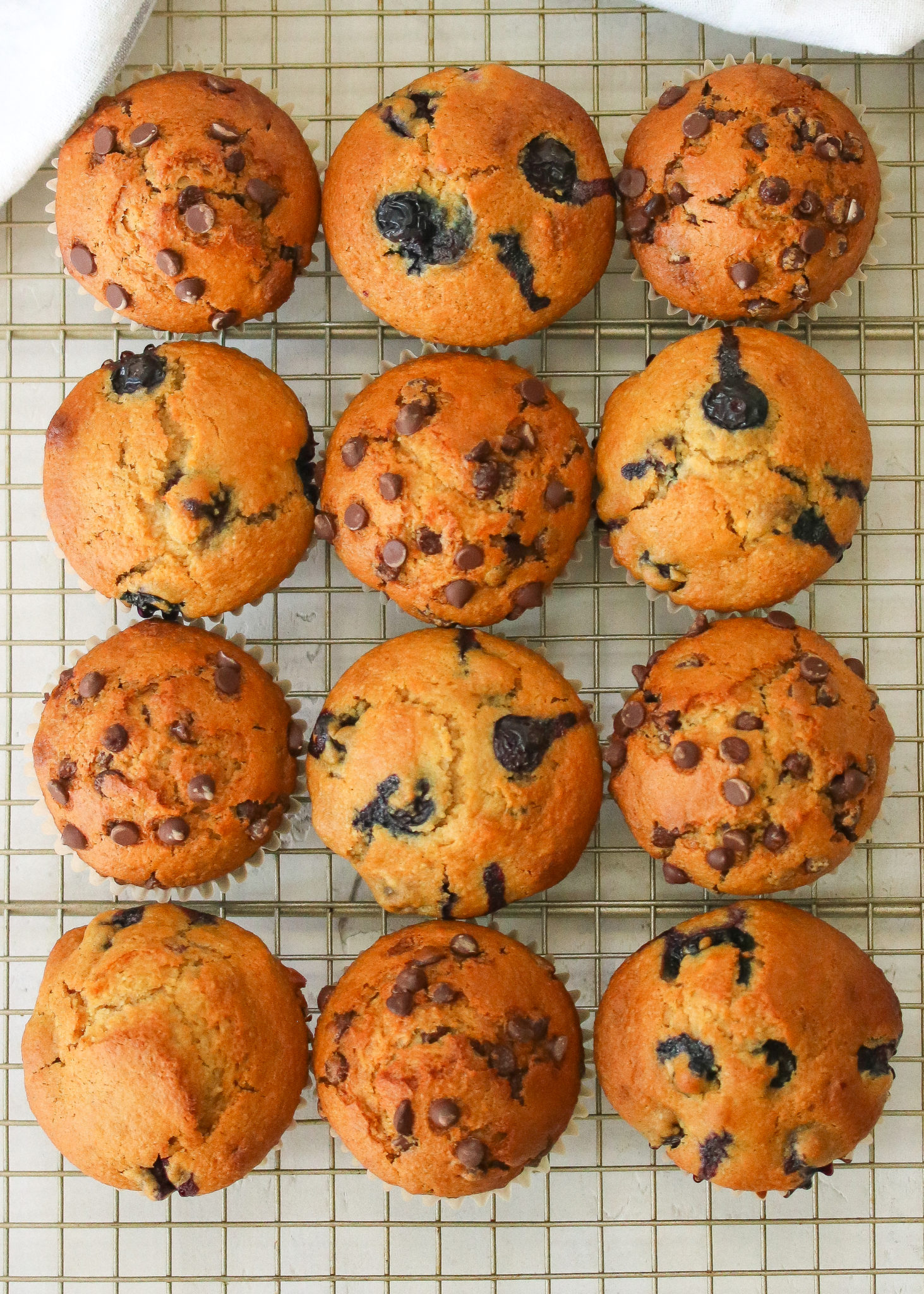 Quick & Easy Sourdough Muffins (with Sourdough Discard) Just Jessie B